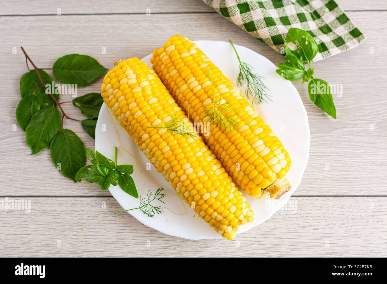 Two boiled corn cobs with dill on a white plate. Stock Photo