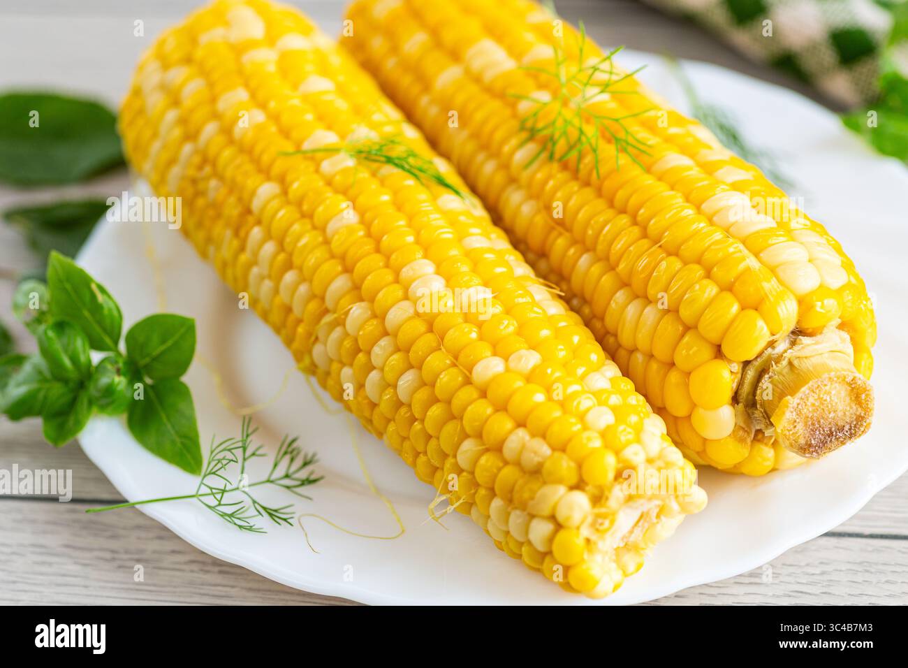 Two boiled corn cobs with dill on a white plate. Stock Photo
