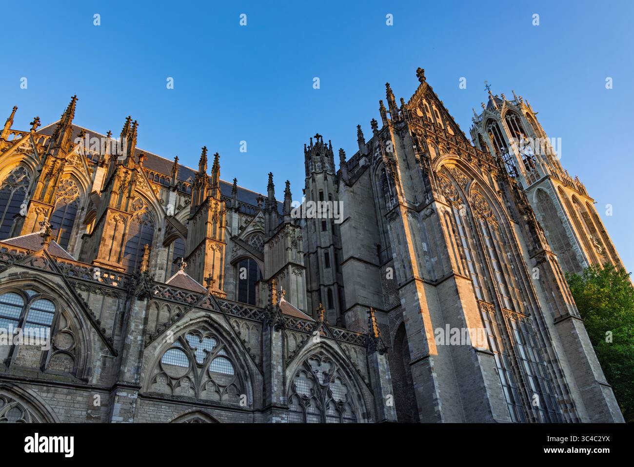 Magnificent gothic cathedral 