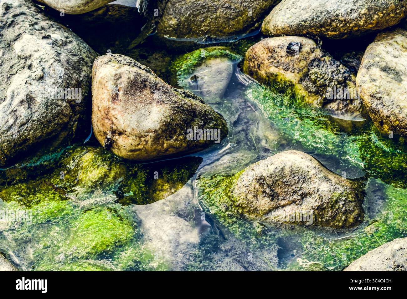 puddle of water with moss among the stones of the river bank,in the Italian Mollarino stream amid Apennines mountains of the Lazio region Stock Photo