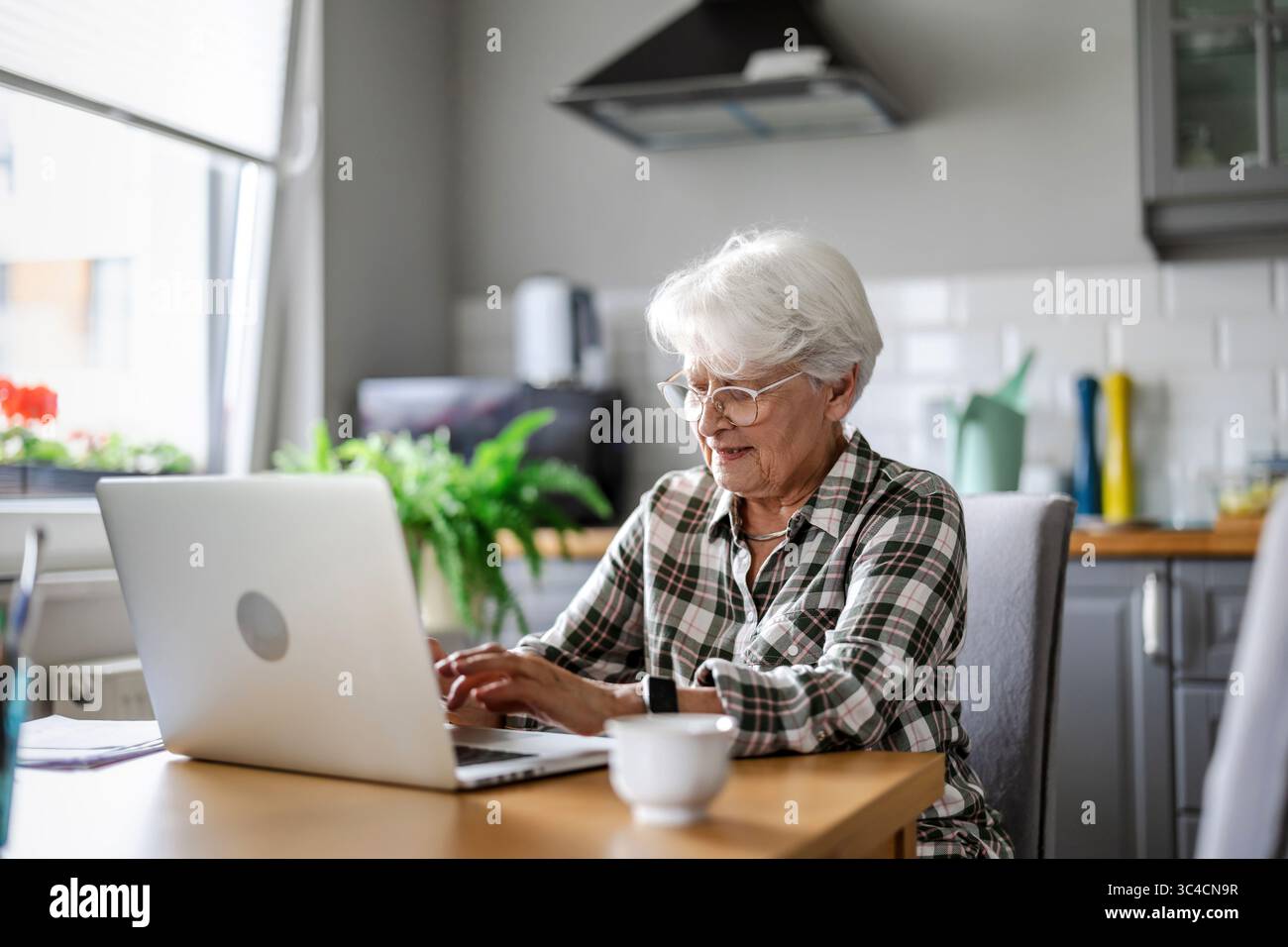 Senior woman using laptop at home Stock Photo