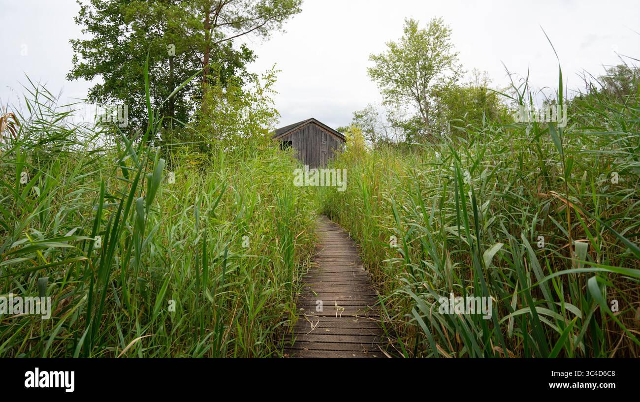 Biodiversity Haff Reimech, Wetland And Nature Reserve In Luxembourg ...