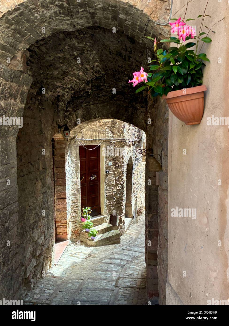 The narrow streets of Spello in the Umbria region of Italy are decorated with colourful flowering plants in pots - Smartphone Captured Stock Image