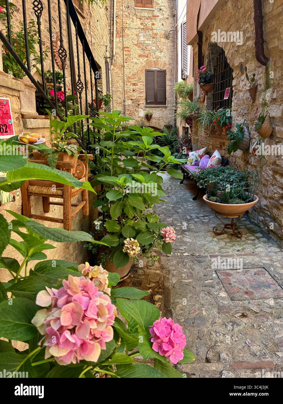 The narrow streets of Spello in the Umbria region of Italy are decorated with colourful flowering plants in pots - Smartphone Captured Stock Image