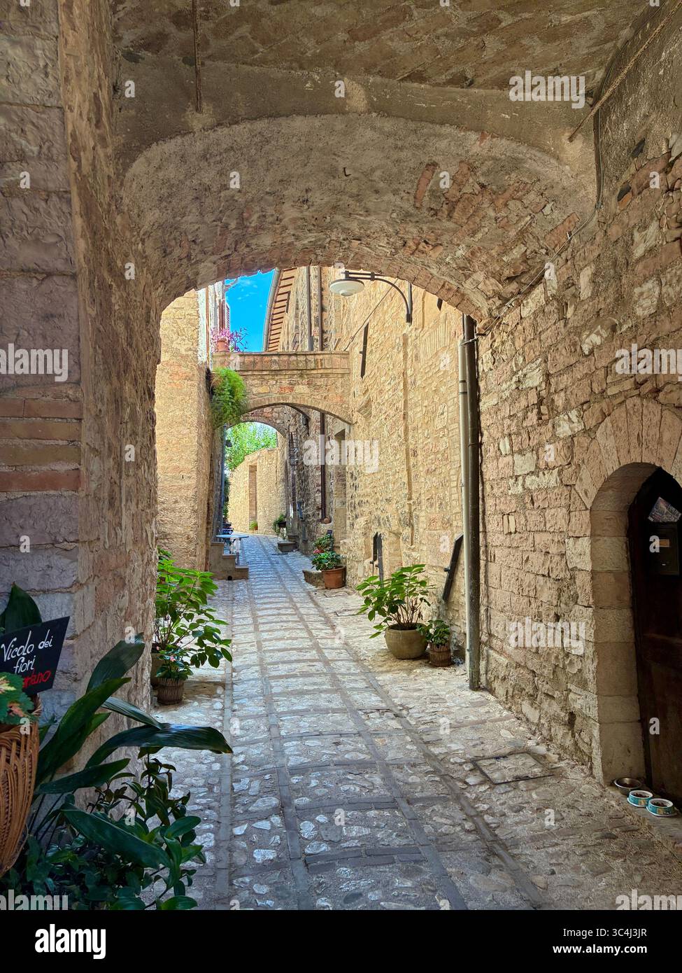 The narrow streets of Spello in the Umbria region of Italy are decorated with colourful flowering plants in pots - Smartphone Captured Stock Image