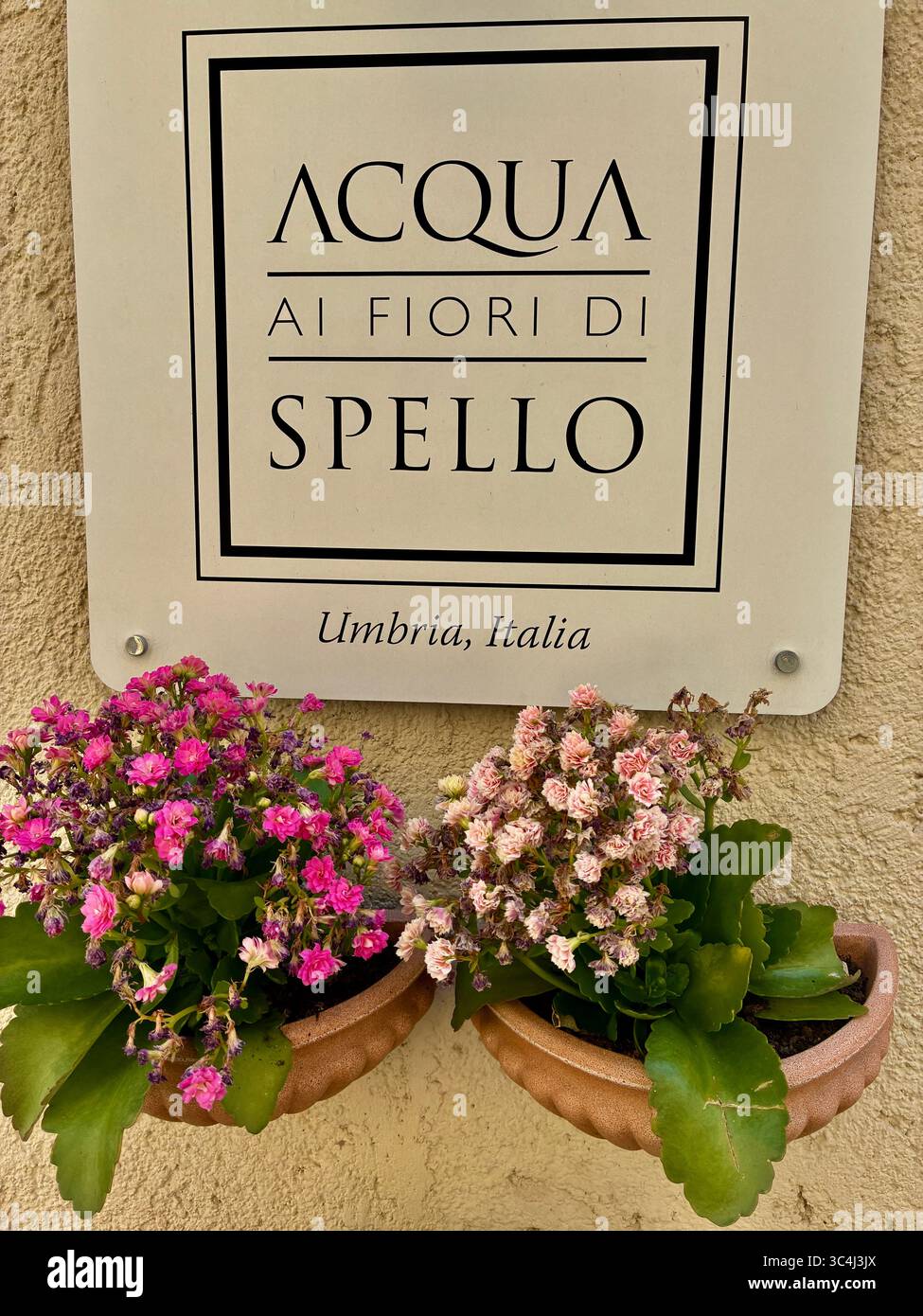 Colourful fllowers in pots adorn the walls and alleys of Spello in the Umbria region of Italy - Smartphone Captured Stock Image