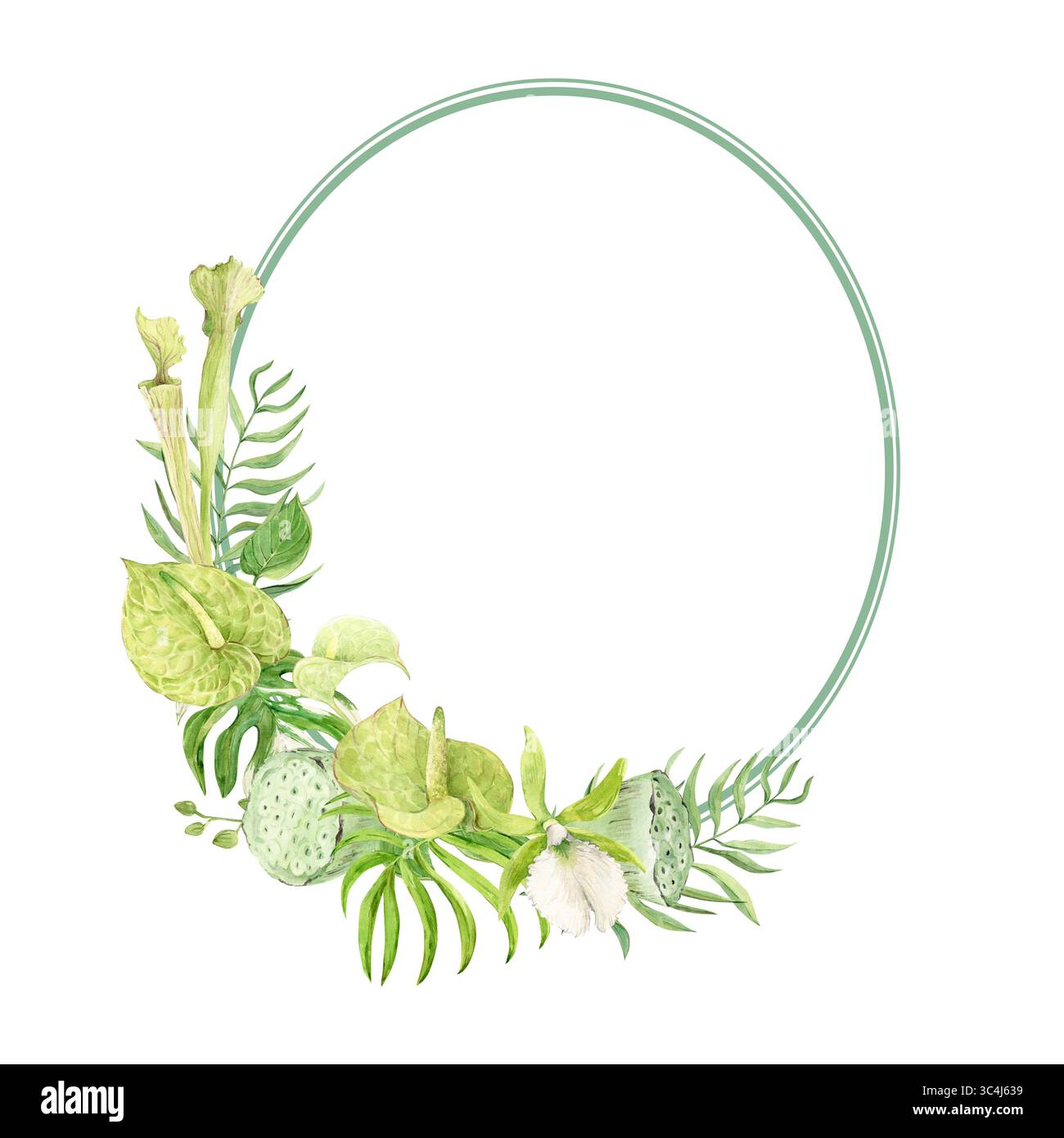 Oval frame of orchid flowers and monstera leaves. Wedding template with bridge for text. Exotic plants of tropical forests and jungles. Watercolor illustration. Stock Photo