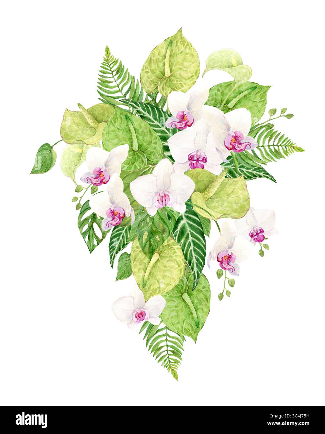 Bouquet of white orchids, green anthurium and monstera leaves. Exotic plants of tropical forests and jungles. Watercolor illustration for wedding invitations in the Jungle style. Stock Photo