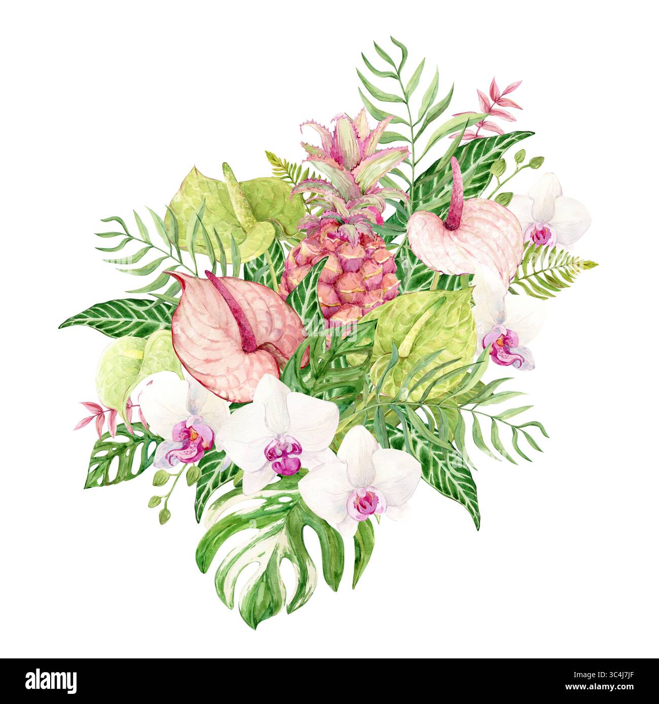 Bouquet of white orchids, green anthurium, pink pineapple and monstera leaves. Exotic plants of tropical forests and jungles. Watercolor illustration for wedding invitations in jungle style. Stock Photo
