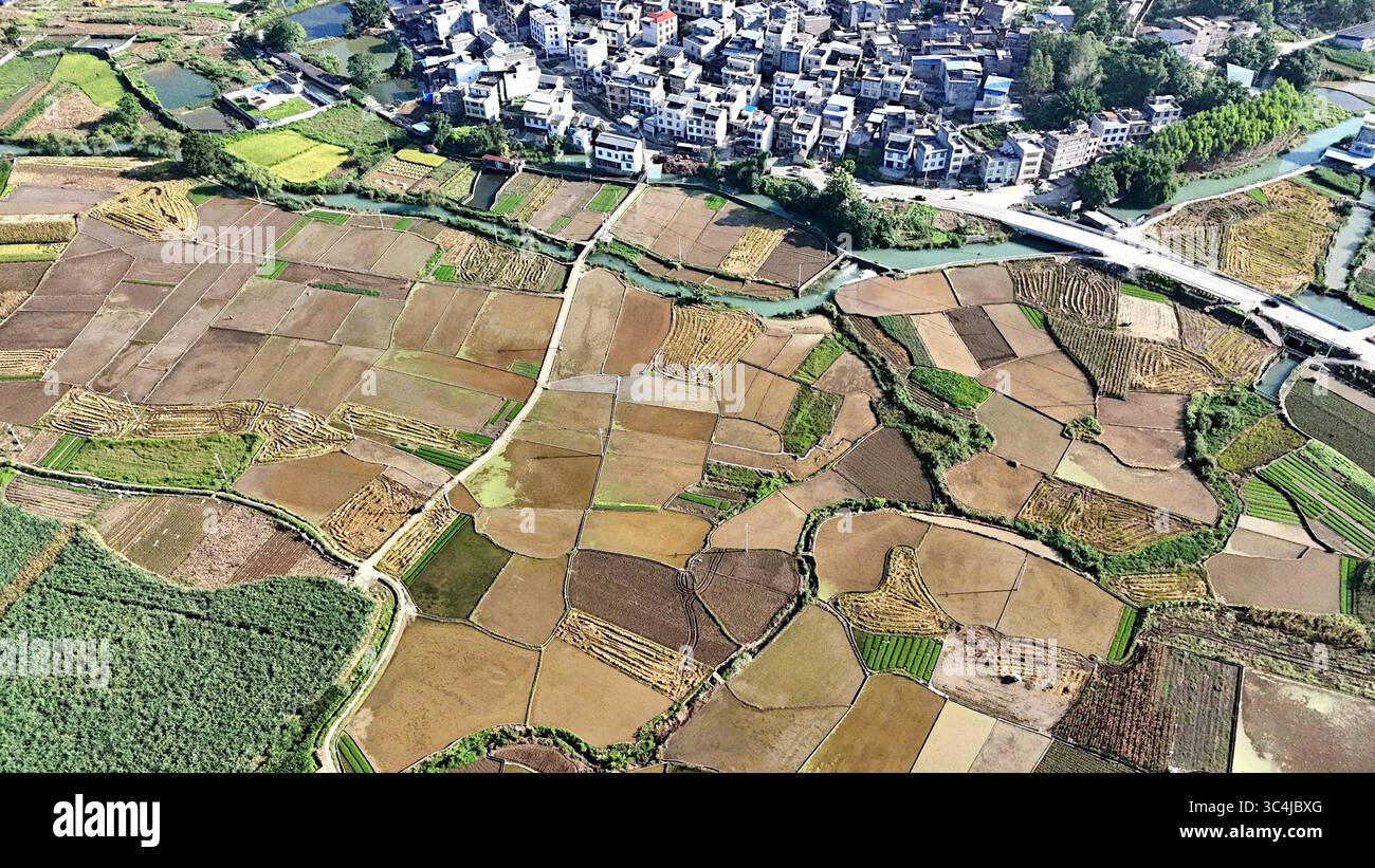Aerial photo shows the rice fields in Laibin City, south China's ...