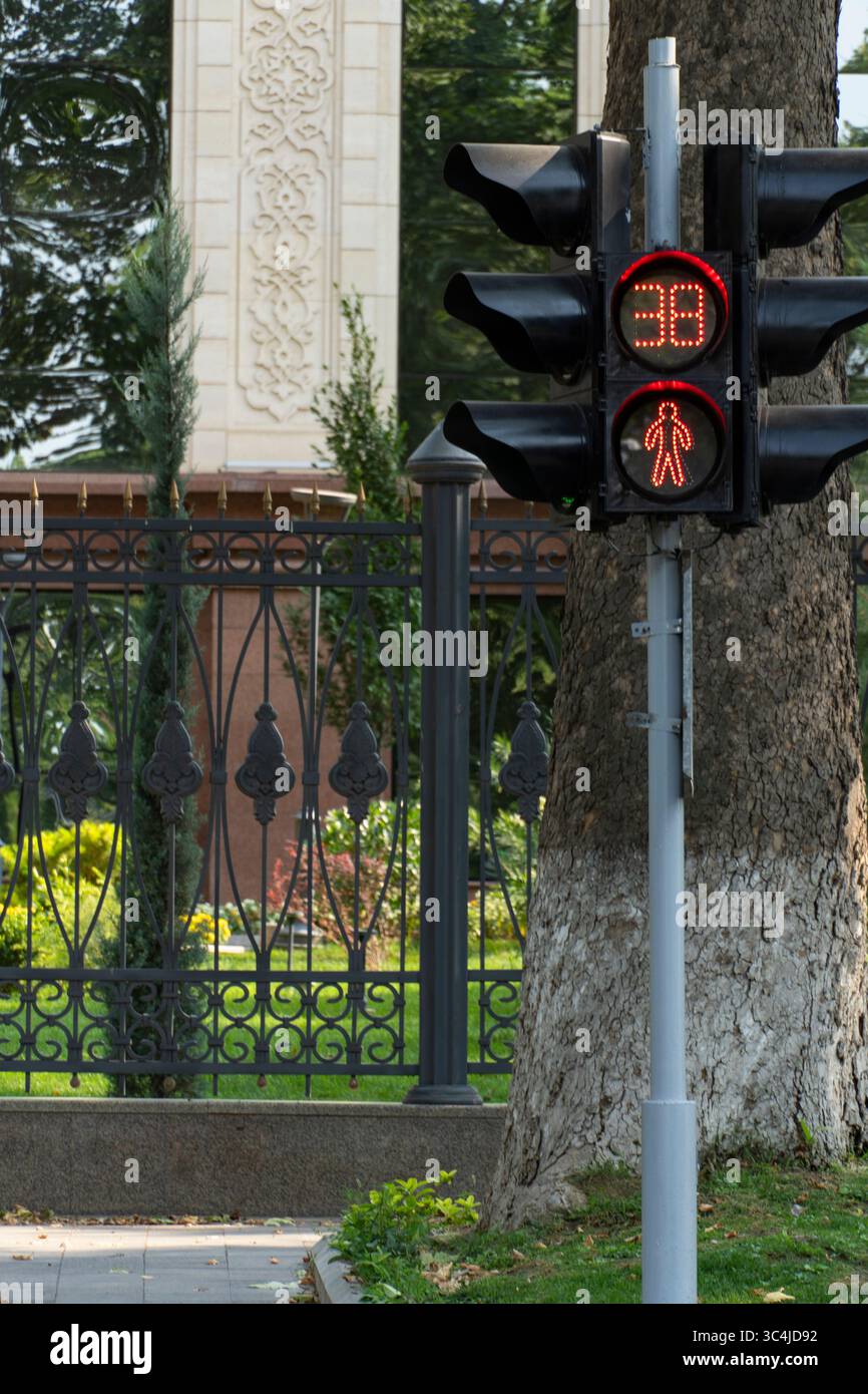 Red pedestrian traffic light with a 38-second countdown timer mounted on a decorative wrought-iron fence, framed by urban greenery Stock Photo
