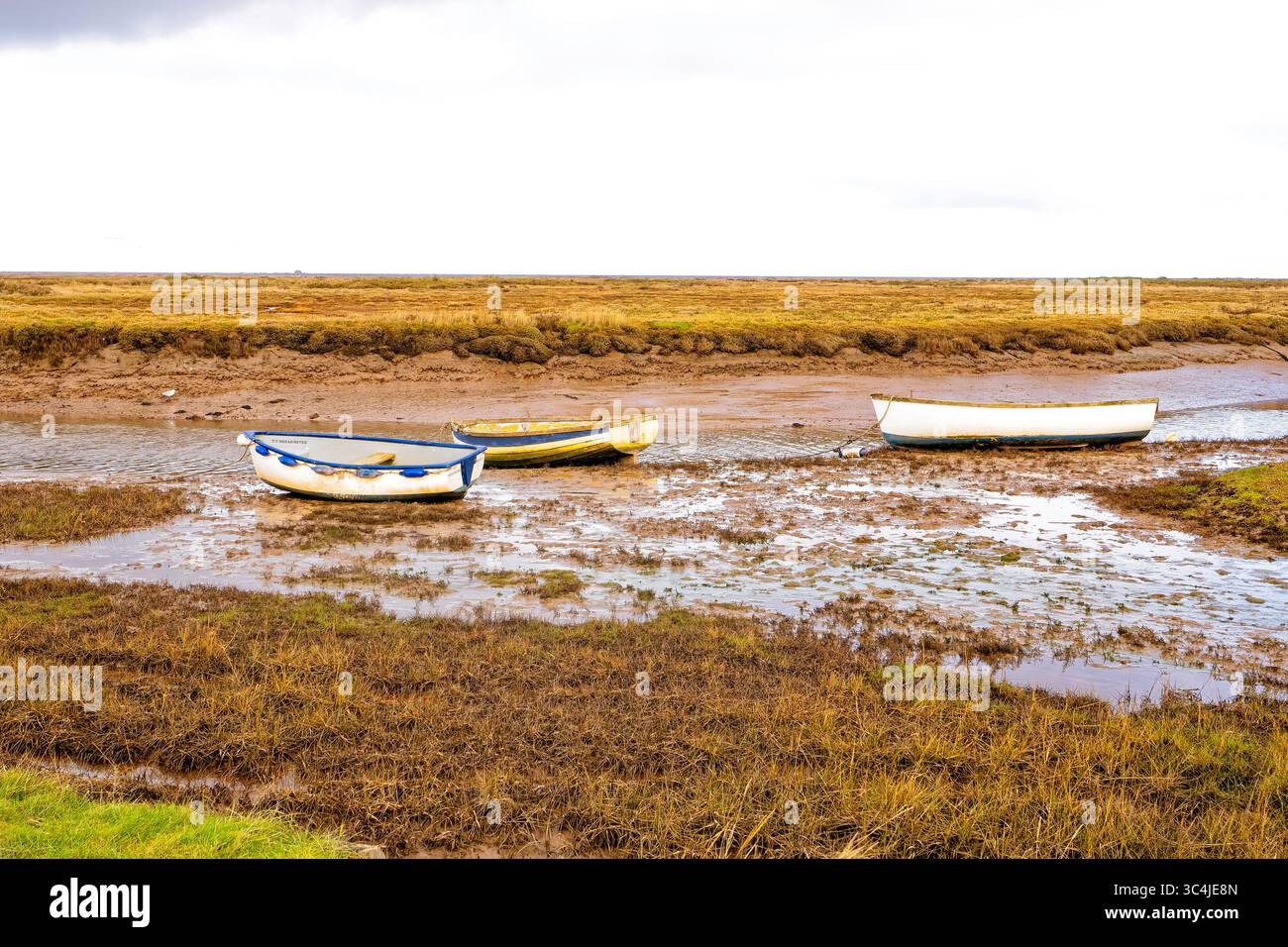 Stunning coastal wetlands and salt marshes Stock Photo - Alamy