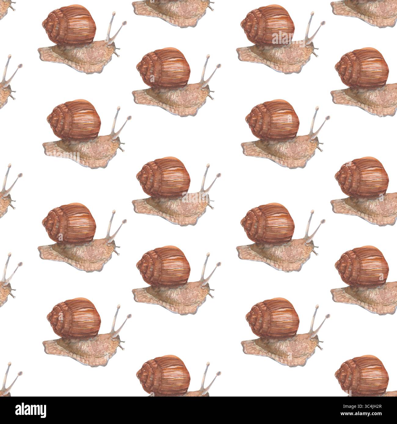 Snail Pattern Background Snail. Seamless watercolor hand drawn pattern with brown snail isolated ...