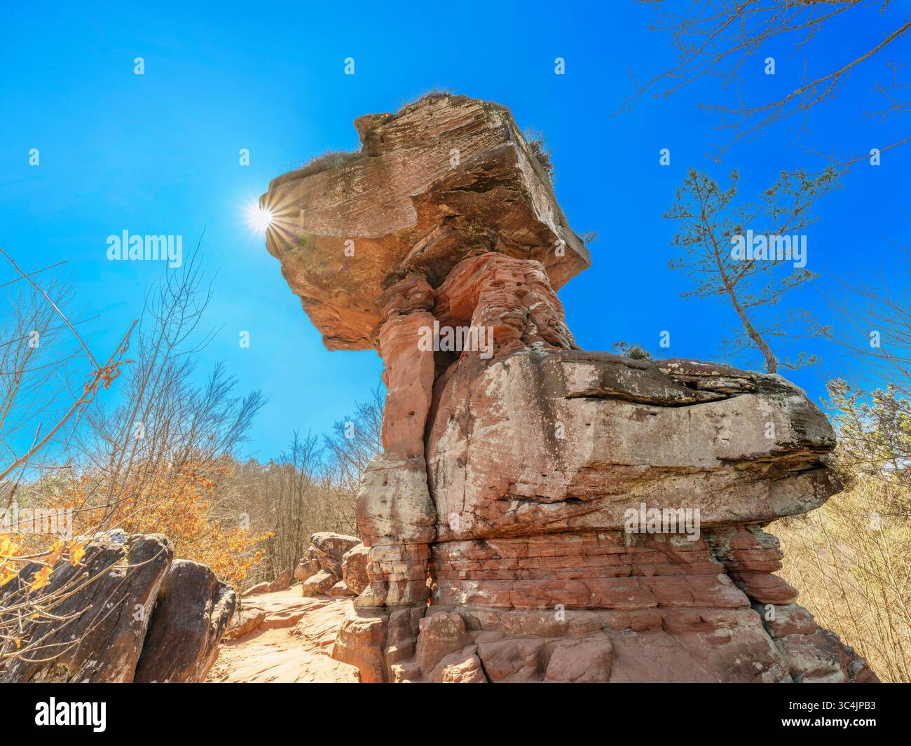 Teufelstisch, mushroom-shaped rock in the Wasgau, southern Palatinate Forest, Germany, Rhineland-Palatinate, Palatinate Forest, Hinterweidenthal Stock Photo