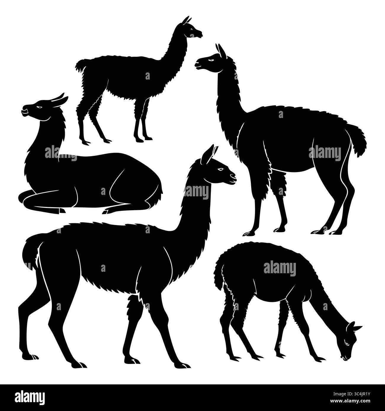 Silhouettes of Alpaca and Llamas in Various Poses Showcasing Grazing and Resting Stock Vector