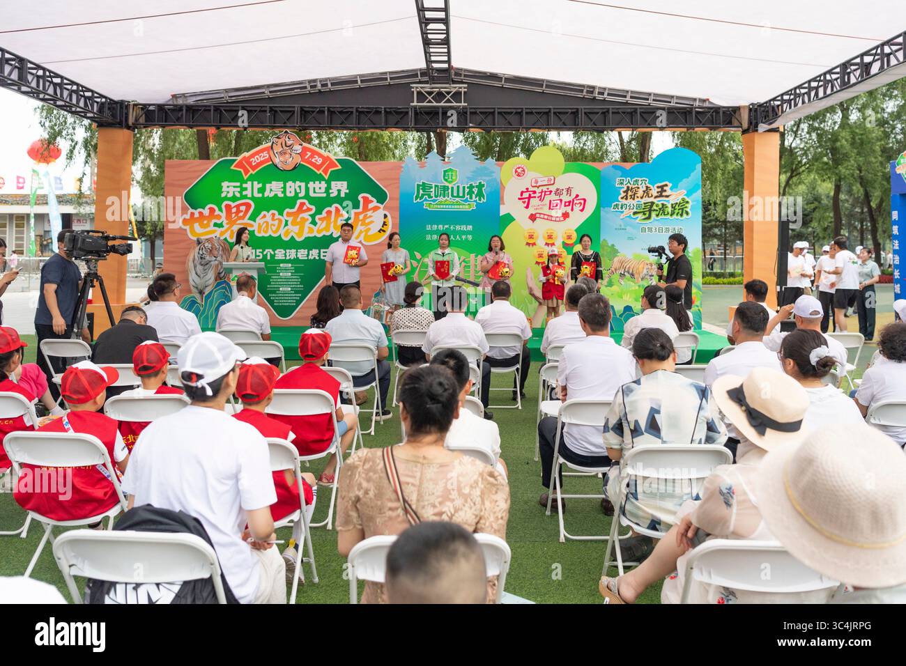 Harbin China s Heilongjiang Province 29th July 2025 Tiger harbin-china-s-heilongjiang-province-29th-july-2025-tiger