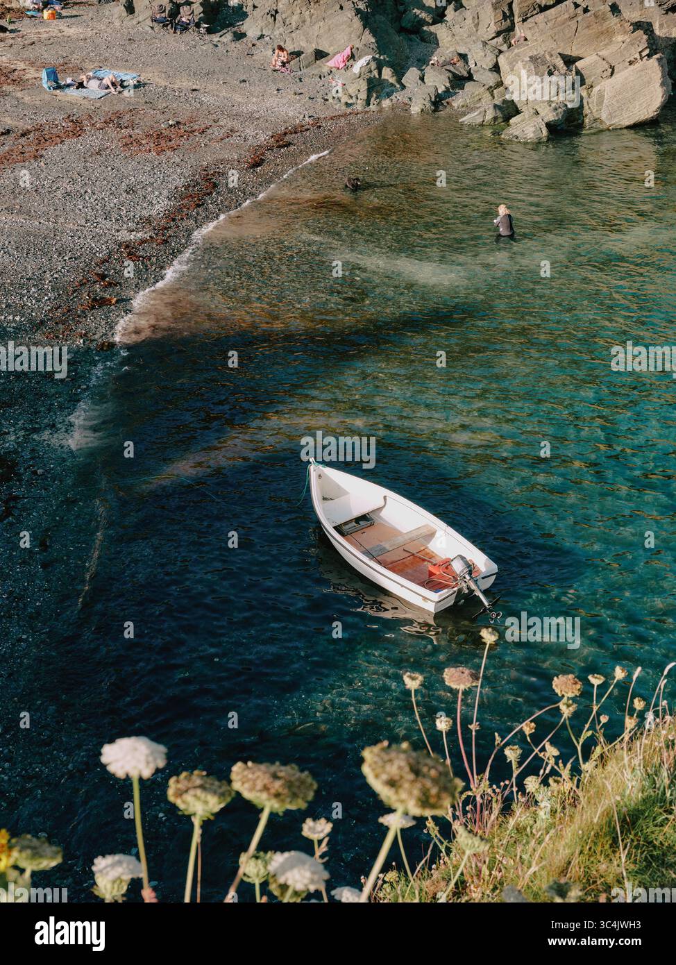 Cadgwith cove a village and fishing port, Lizard Peninsula, Cornwall England UK Stock Photo