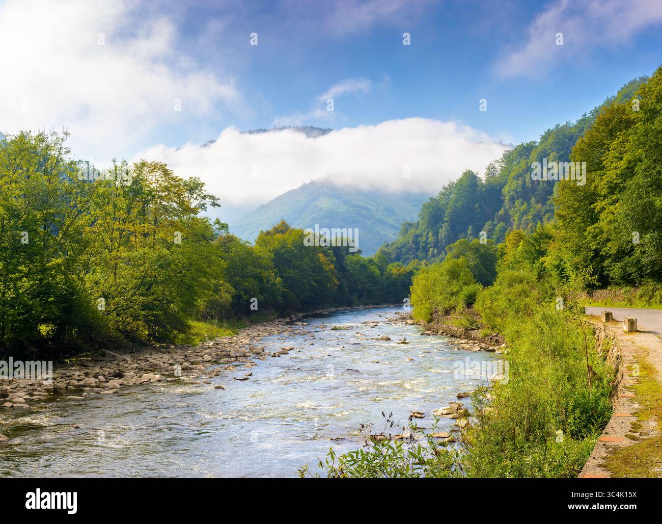 river runs through forest in mountain landscape. travel ukraine in summer. beautiful view with cloud on a hill under blue sky. scenery of tisza river Stock Photo