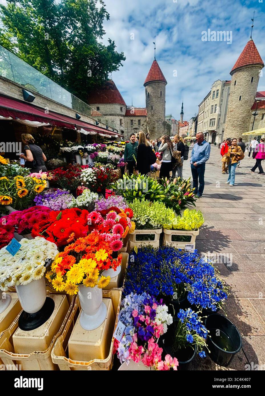 The colorful flower market outside Viru Gate in the old city of Tallinn, Estonia. - Smartphone Captured Stock Image