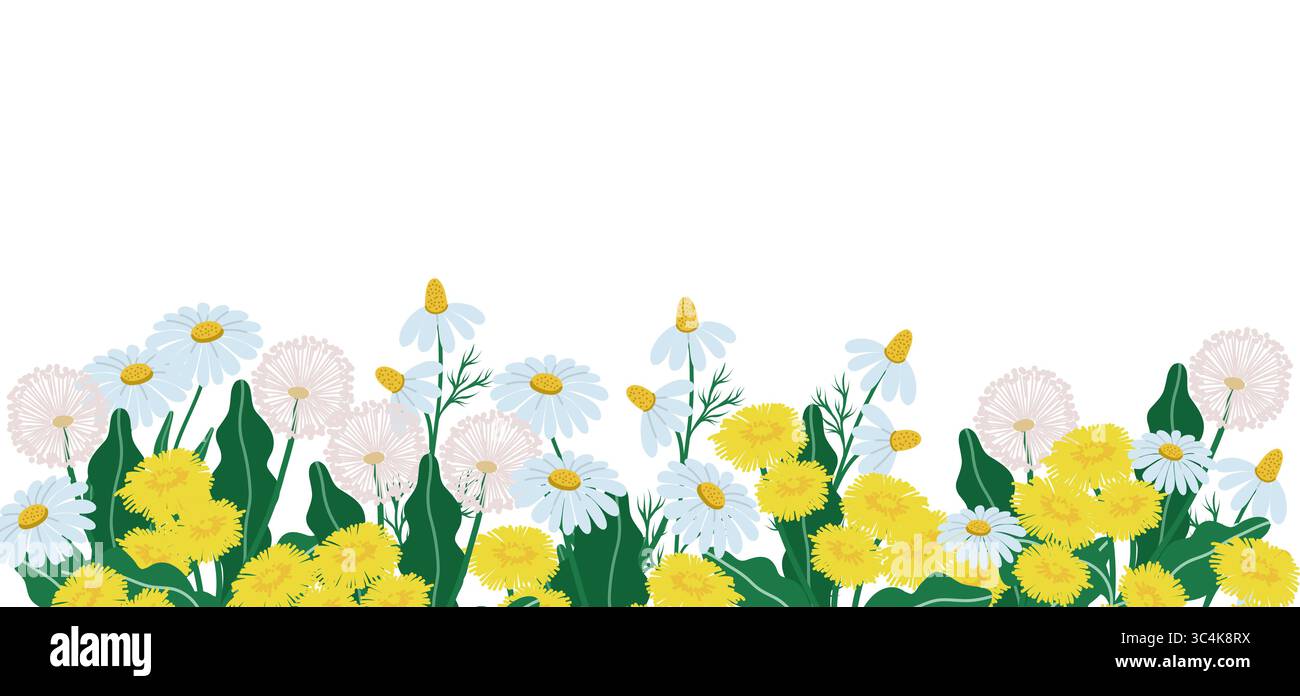 Horizontal backdrop with dandelions on white Stock Vector