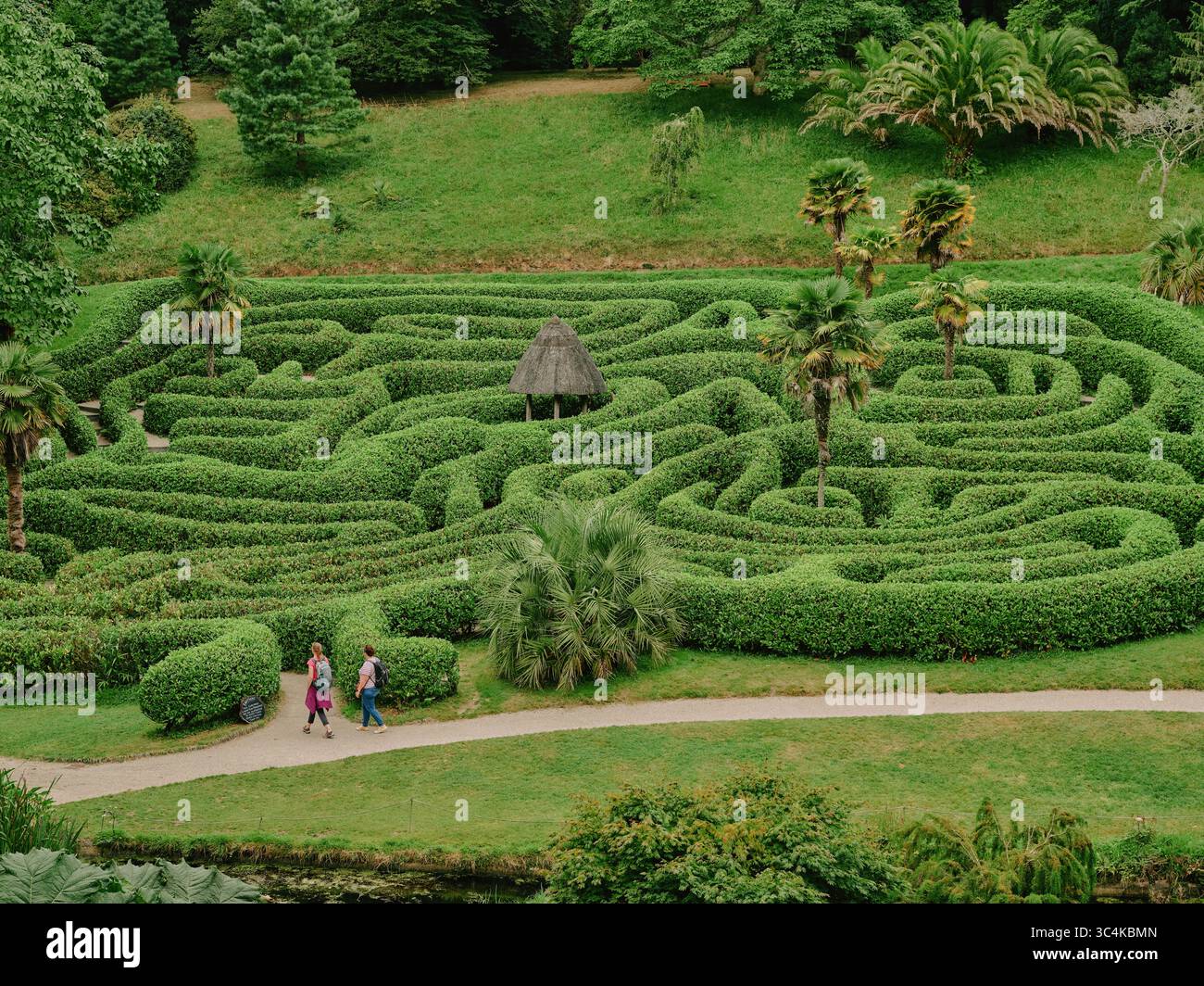 The box maze at Glendurgan Garden is a National Trust garden situated above the hamlet of Durgan on the Helford River, Cornwall England UK Stock Photo