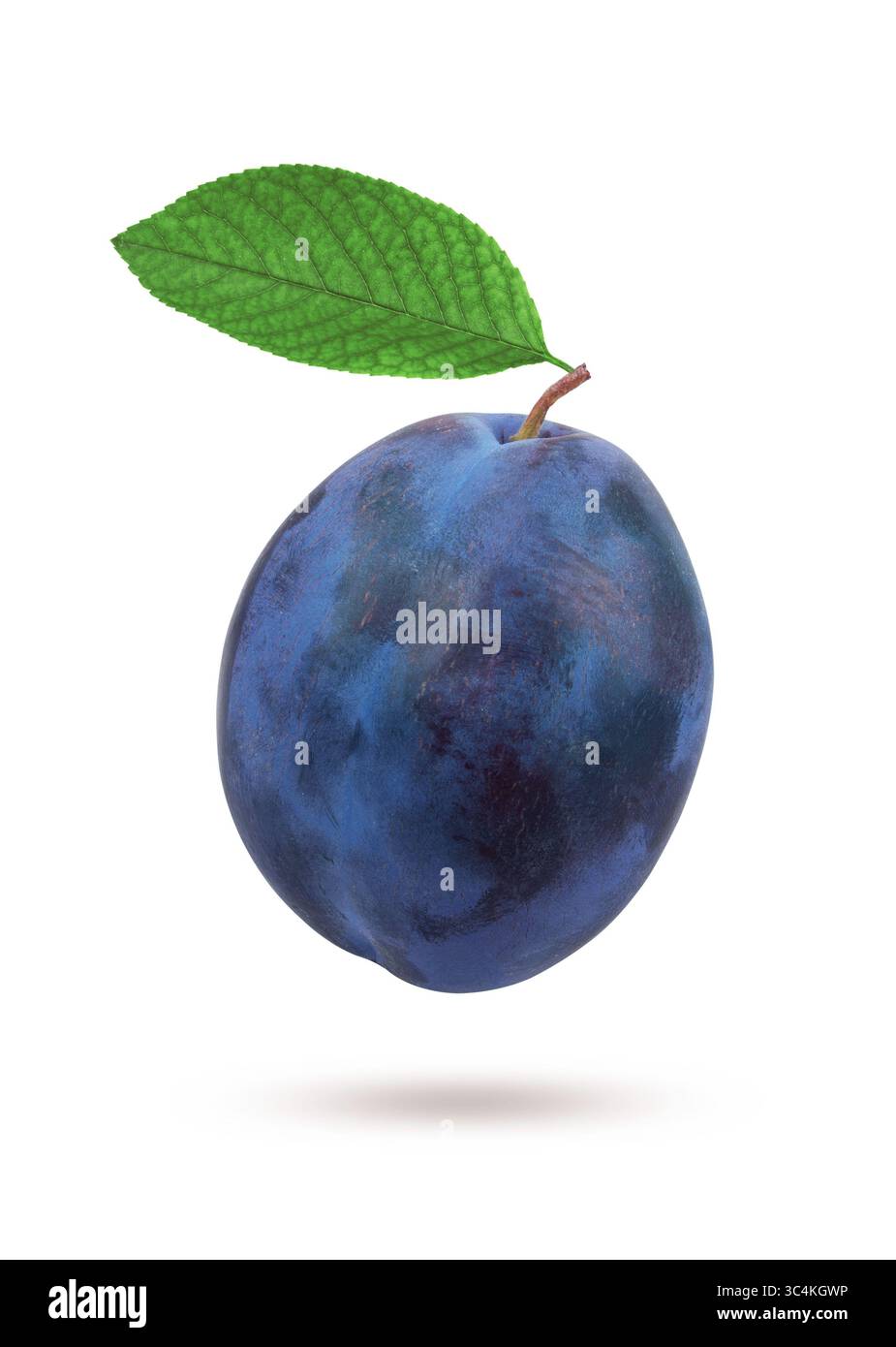 Plums with leaf isolated on white background Stock Photo