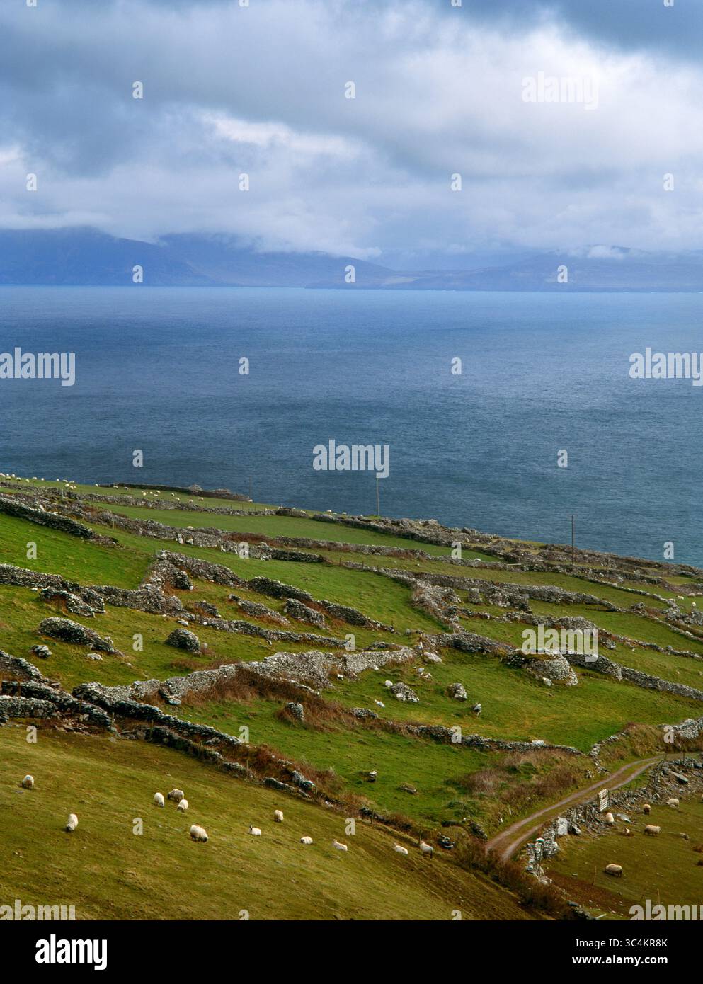 View SE of fields with beehive huts on the lower slopes of Mount Eagle ...