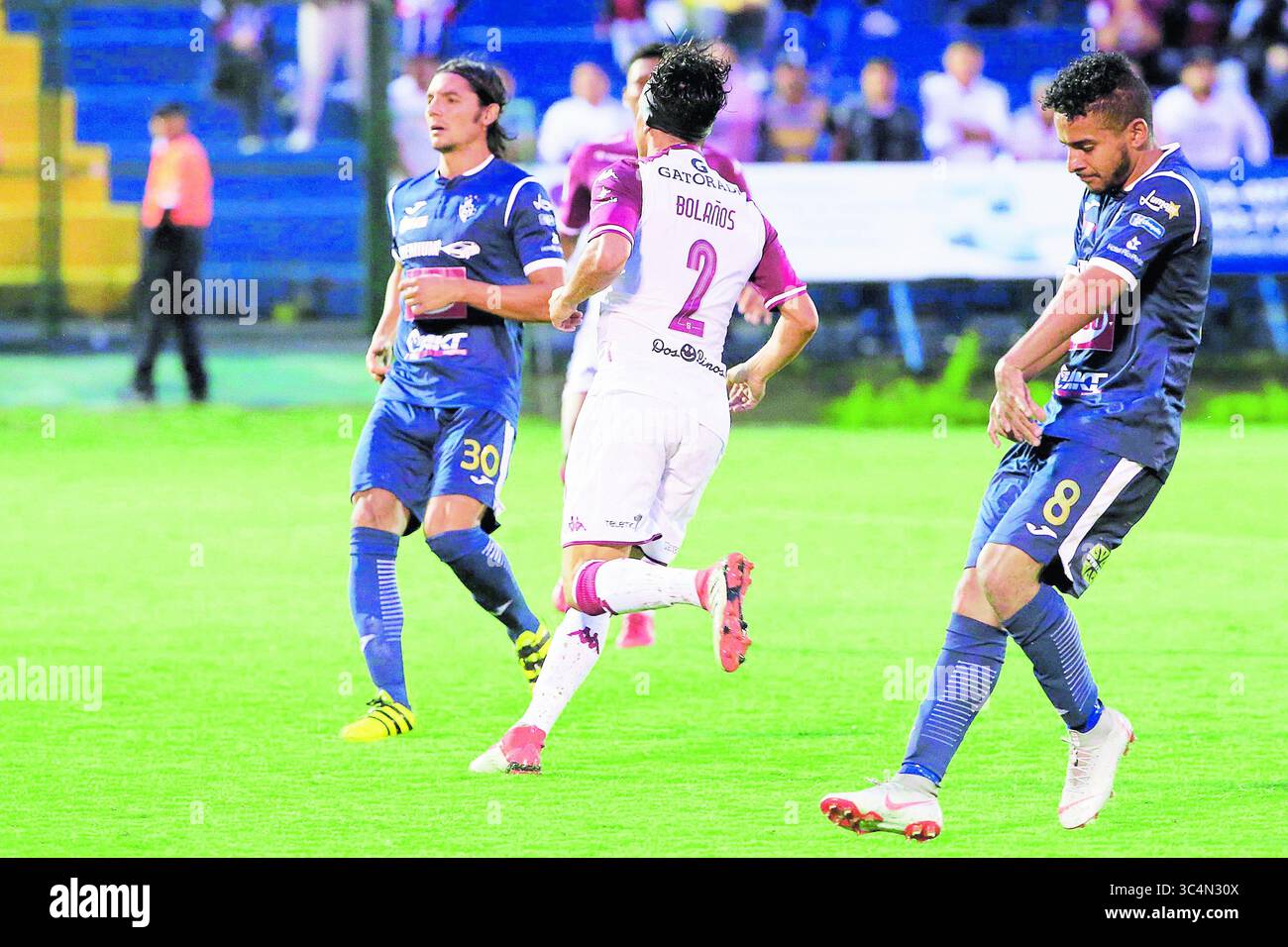 Terapeuta Sistêmica- Deniele Silva | Sorocaba SP, image size:1300x956