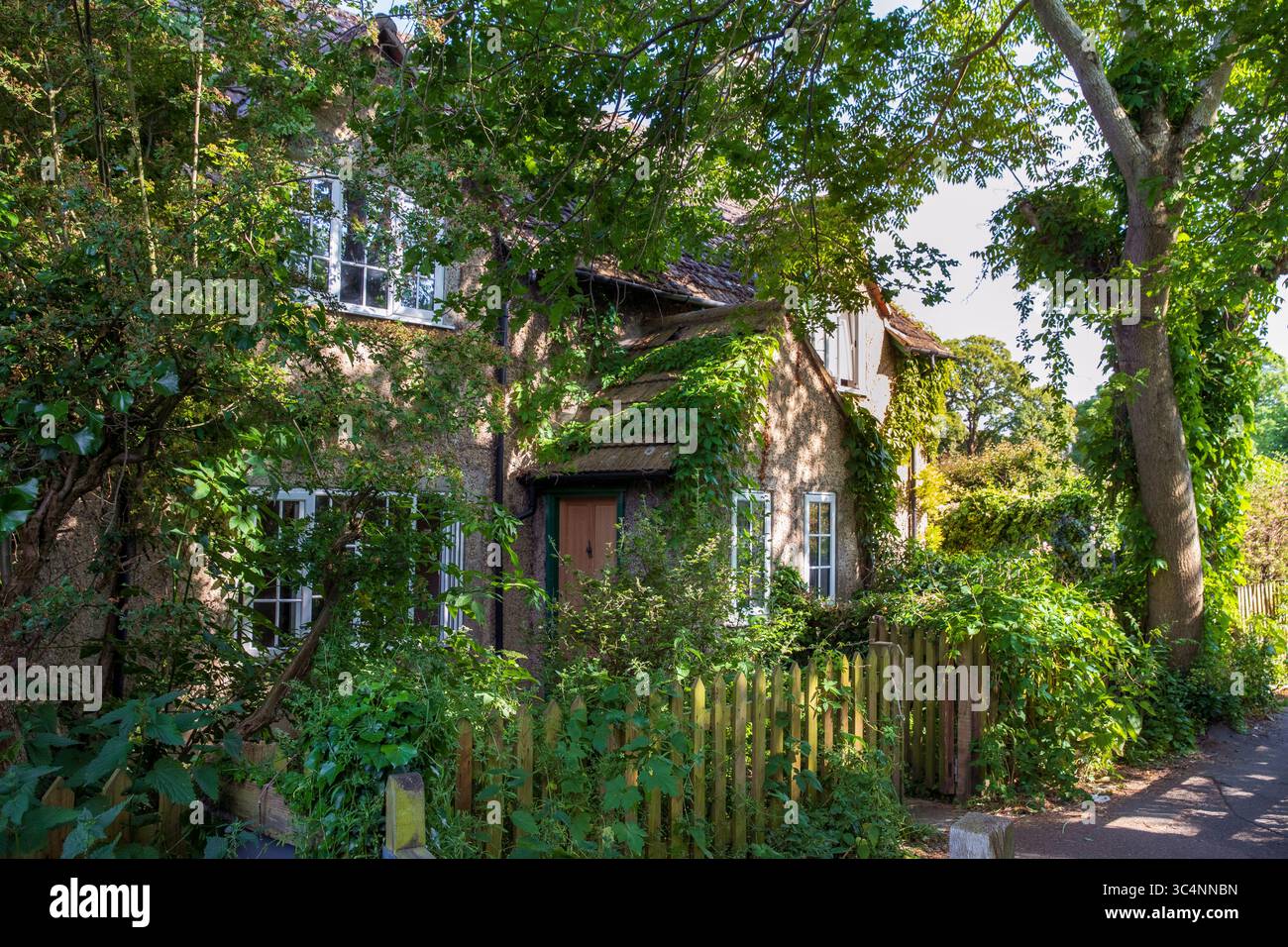 overgrown house Stock Photo