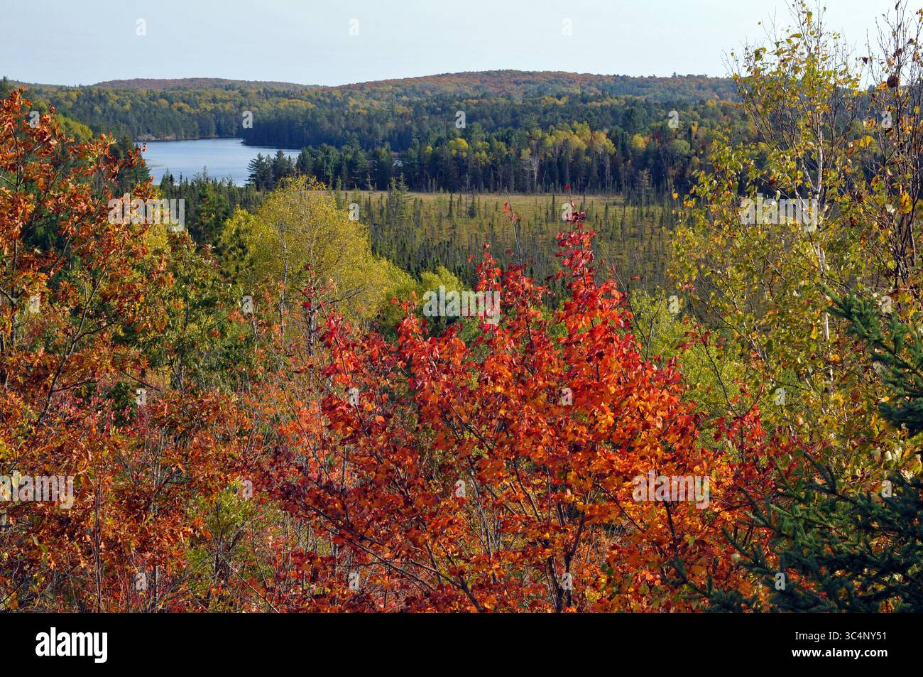 Early autumn in Algonquin Park パステル画 Early autumn in Algonquin Park パステル画 - メルカリ
