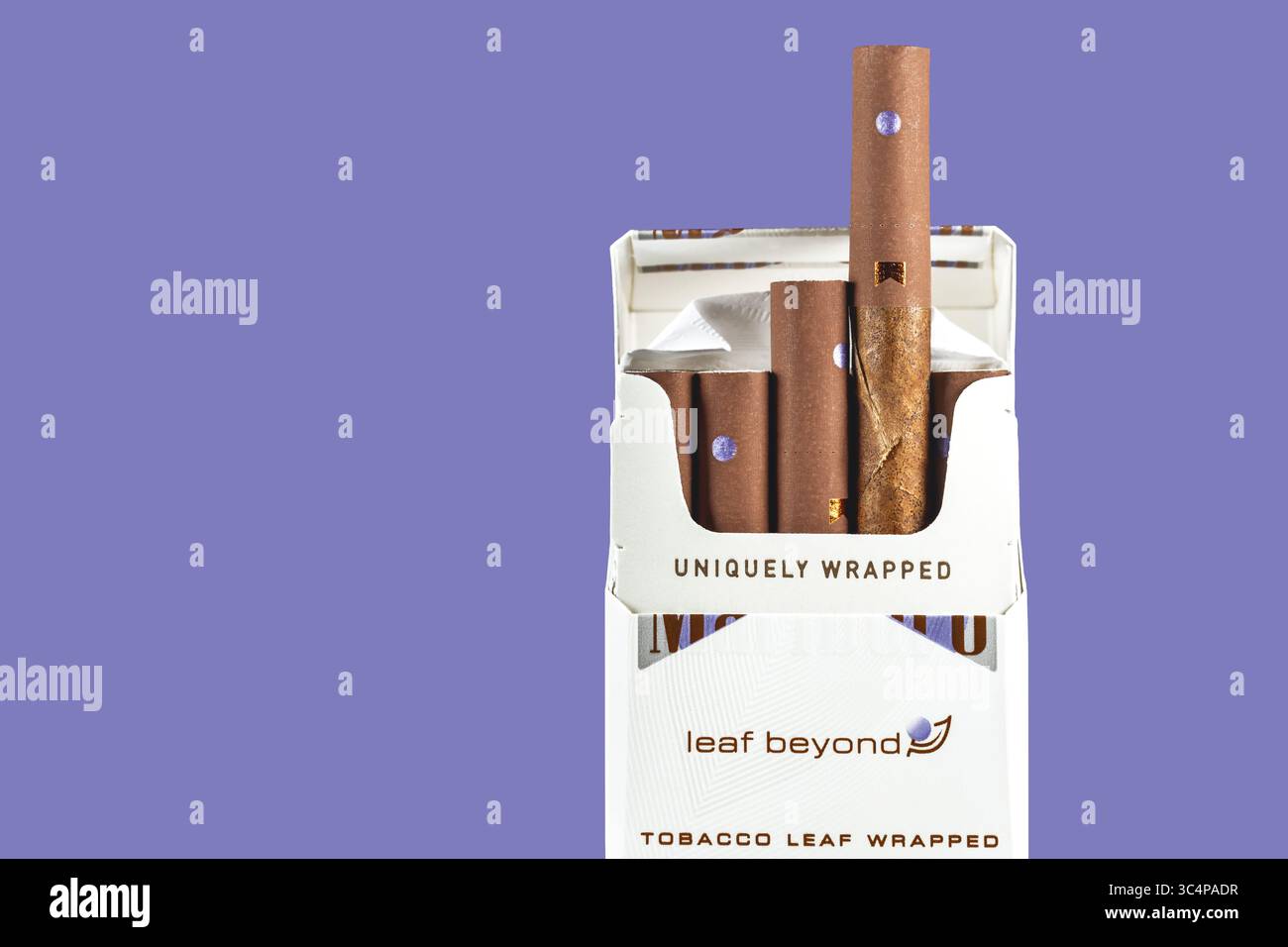 marlboro tobacco leaf wrapped Marlboro cigars hi-res stock photography and images