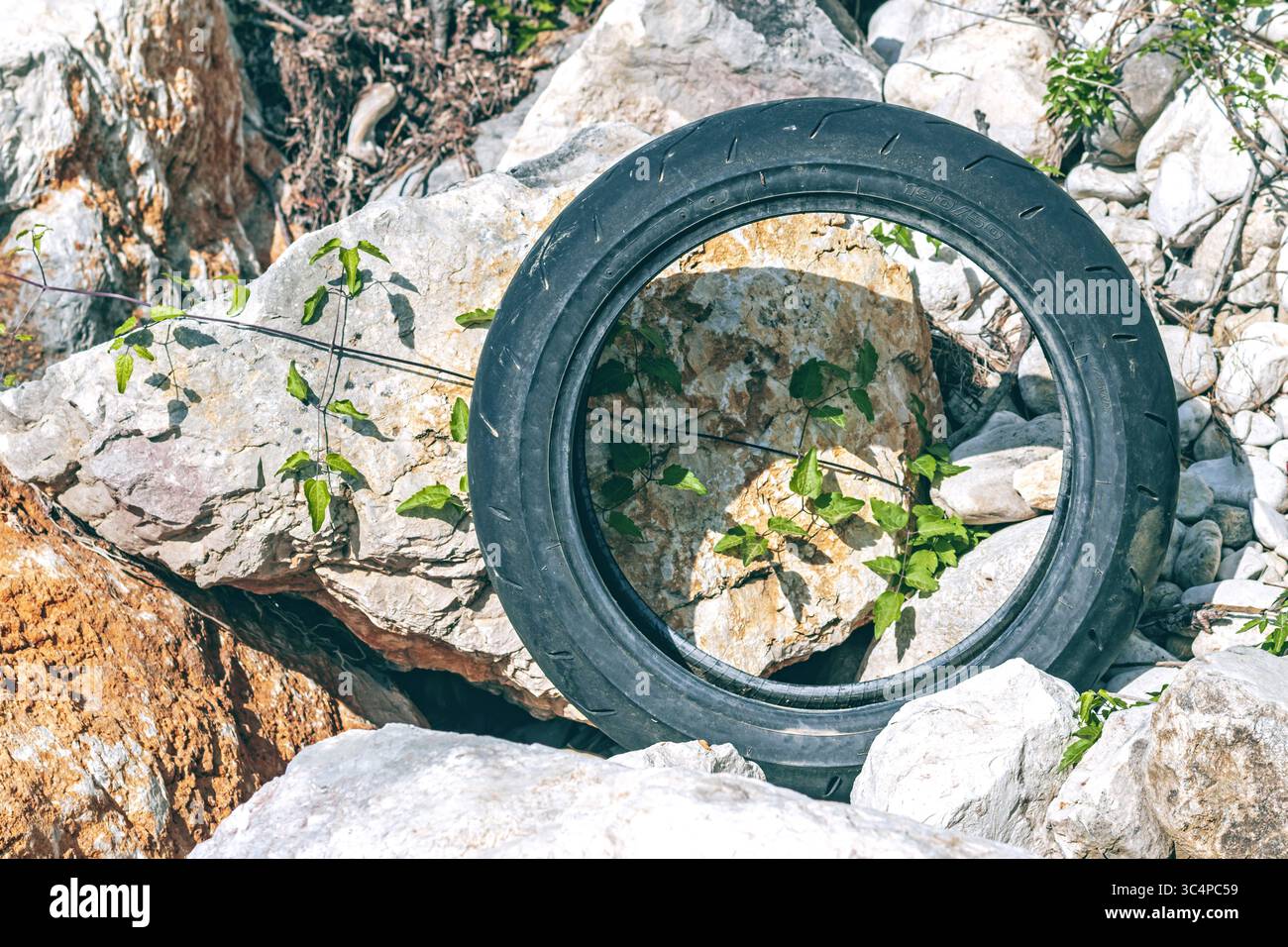 Tire Over Large Rocks Old tire on riverbank hi-res stock photography and images - Alamy