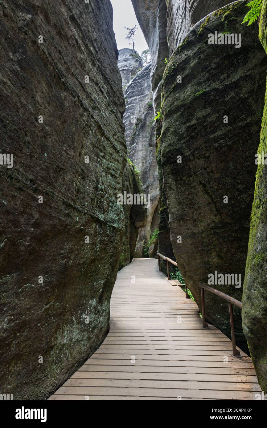 The Adrspach Rocks. This rock city is a surreal landscape with bizarre ...