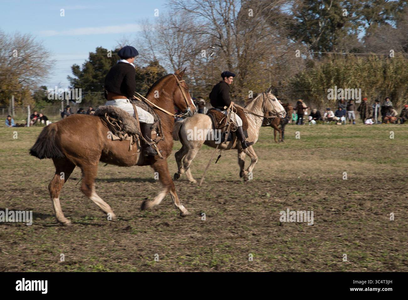 Traditional horse gathering at a rural fair in Argentina, where gauchos skillfully manage herds during a cultural celebration of equestrian heritage. Stock Photo