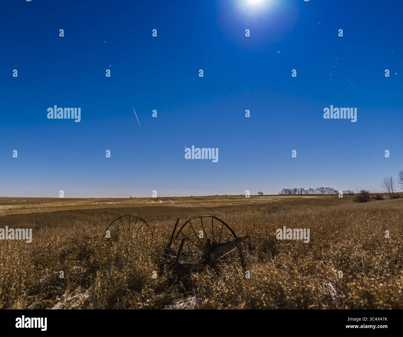 December 13, 2016 - Canada - A lone Geminid meteor on the peak night of the Geminid meteor shower, December 13, 2016, competing against the bright Full Moon and a perigee Moon at that, so it was a very bright night but very clear. And cold - about -15Â° C. ..This is one frame of 1500 shot this night, hoping to capture more meteors. But only 2 frames had a decent meteor. 3 others had fainter meteors or the usual meteor right at the edge of the frame. Gemini is at top left and Orion at upper right. Procyon is just rising. The Moon is just edging off the frame. ..All exposures were 10 seconds at Stock Photo