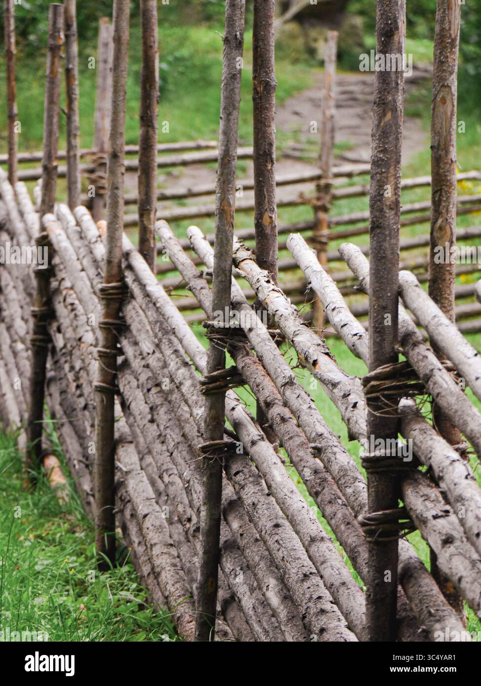 Old fence made from wood Stock Photo