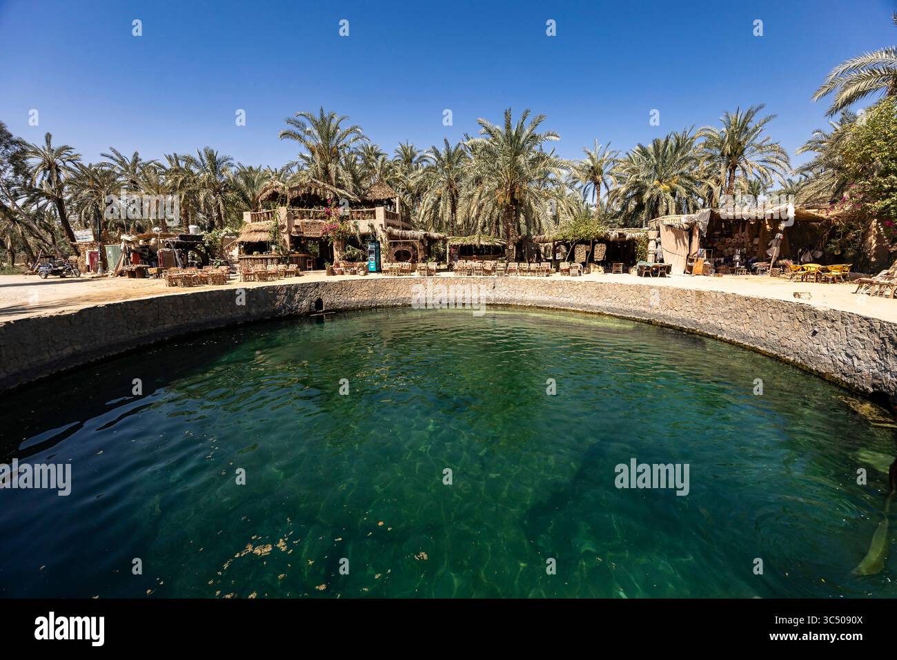 Siwa Oasis, Cleopatra Spring, Siwa, Marsa Matrouh governorate, Egypt, North Africa, Africa Stock Photo
