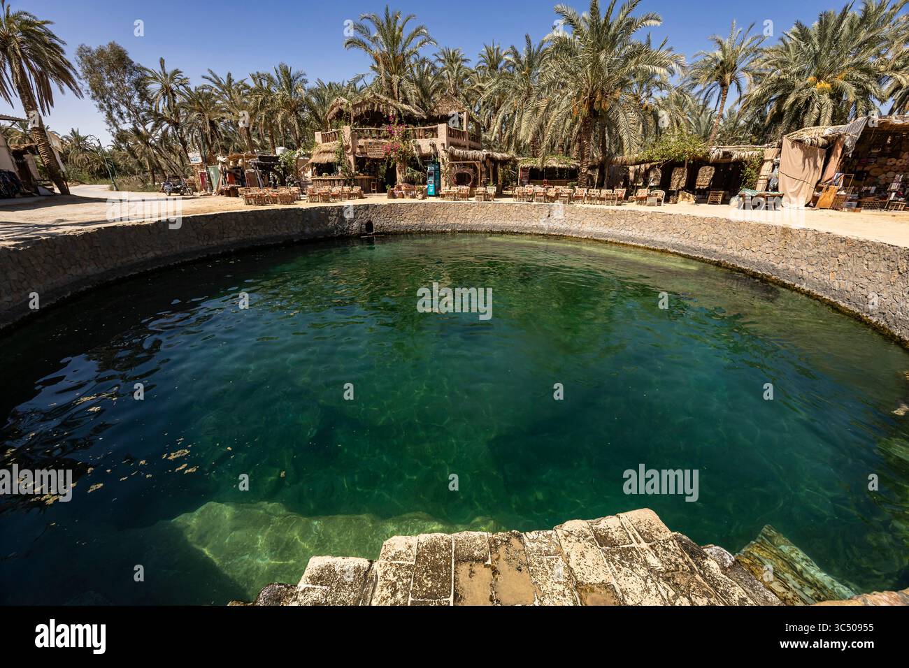 Siwa Oasis, Cleopatra Spring, Siwa, Marsa Matrouh governorate, Egypt, North Africa, Africa Stock Photo