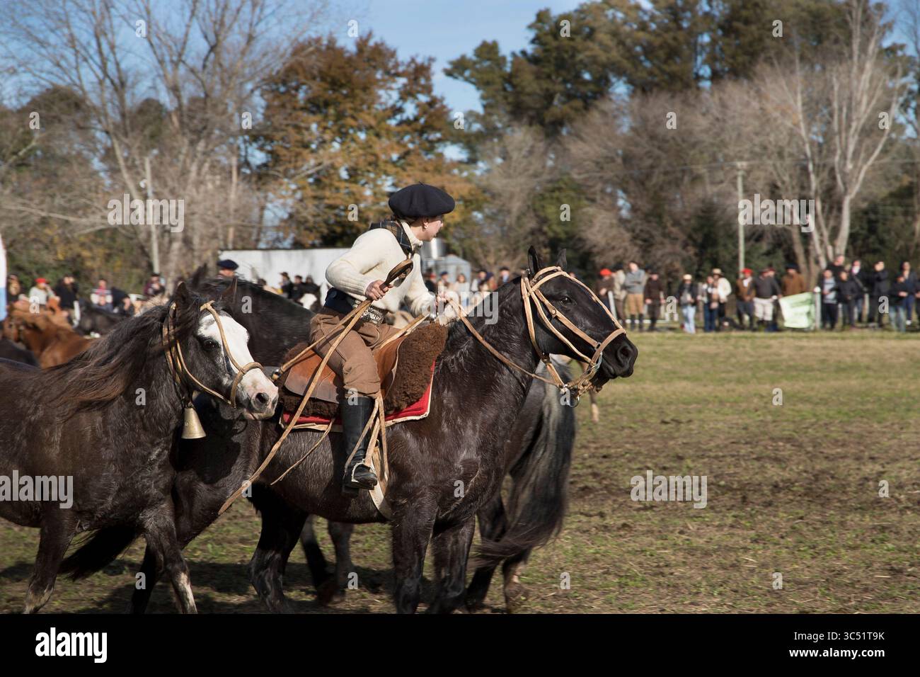 Traditional horse gathering at a rural fair in Argentina, where gauchos skillfully manage herds during a cultural celebration of equestrian heritage. Stock Photo