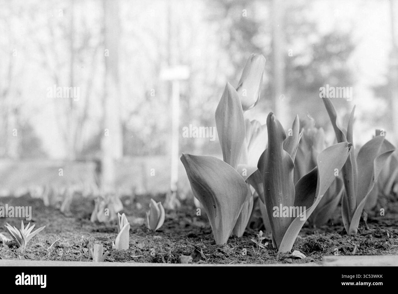 1950 2000 newly hi-res stock photography and images - Alamy