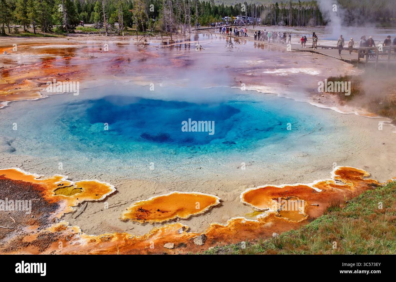 Silex Spring, Yellowstone’s Lower Geyser Basin, Yellowstone NP Stock Photo