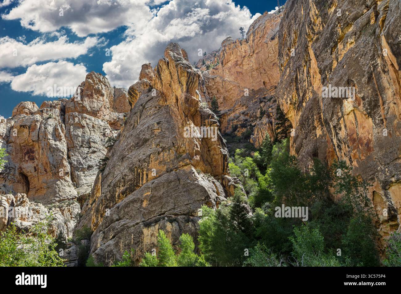 Sheep Creek Canyon Geological Area, Flaming Gorge National Recreation Area Stock Photo