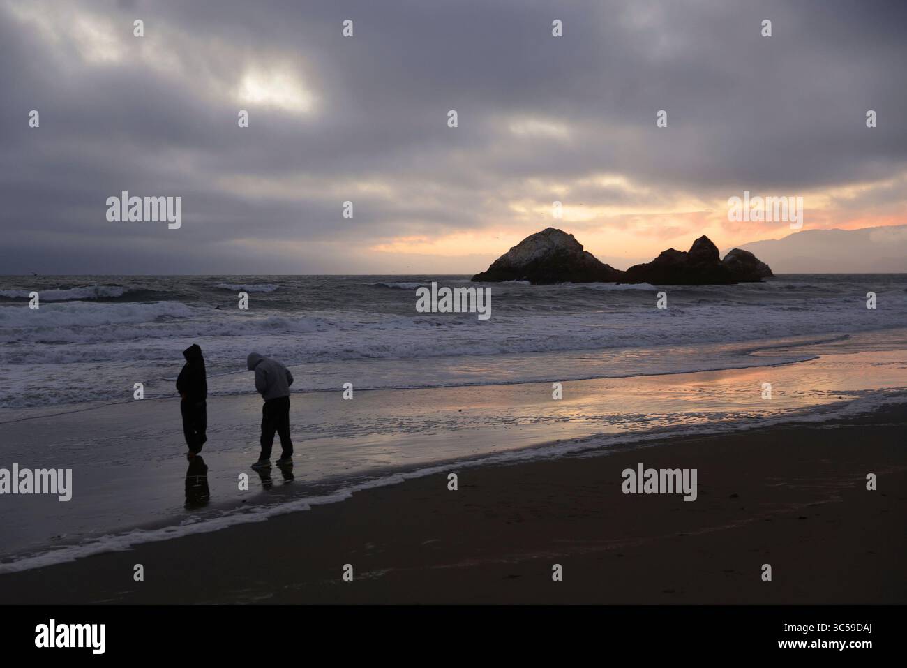 Tsunami live feed san francisco