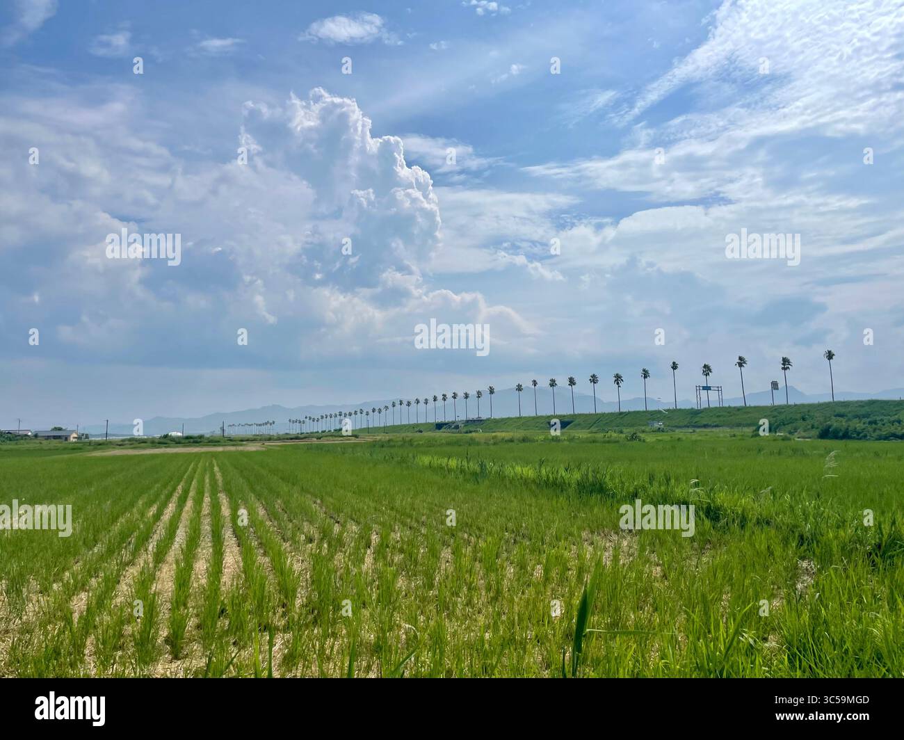 Up on the lift - Smartphone Captured Stock Image