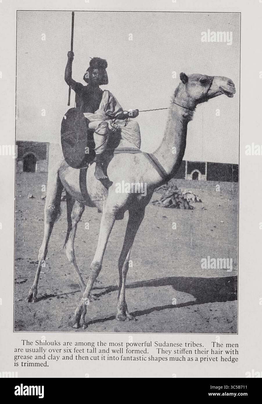The Shilluk [Here as Shilouks ] are among the most powerful Sudanese ...