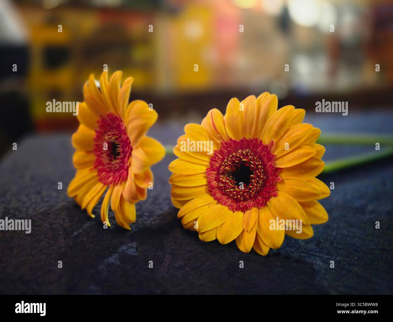 yellow gerbera on the desk jusst for you - Smartphone Captured Stock Image