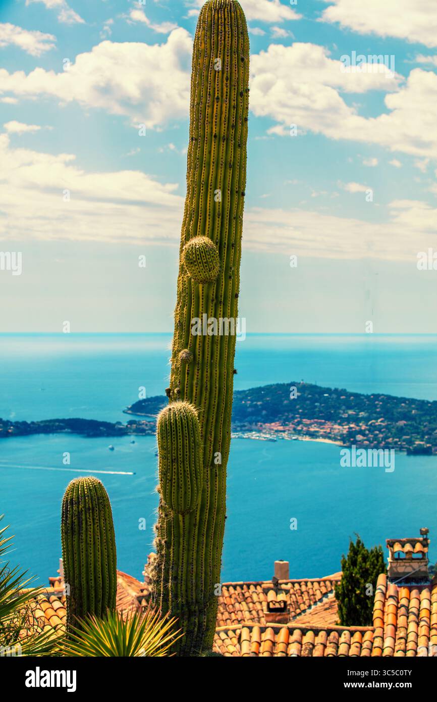 France mediterranean sea cactus hi-res stock photography and images - Alamy