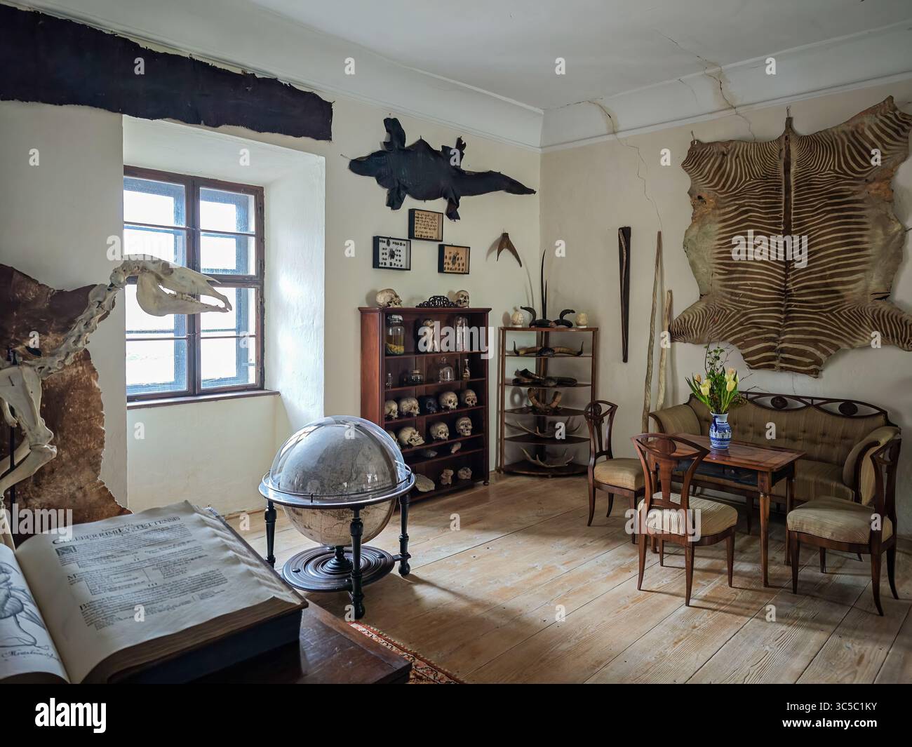 Historical study room at Buchlov Castle, decorated with skulls, animal skeletons, exotic hides, and vintage furniture, evoking a 19th-century naturali Stock Photo