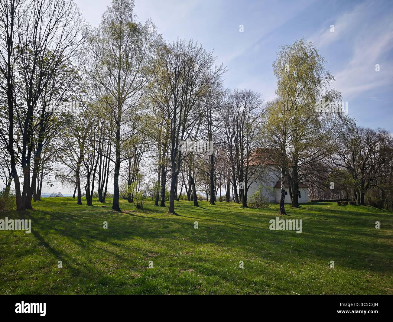 Small rural chapel hidden among spring trees on a grassy hill Stock Photo