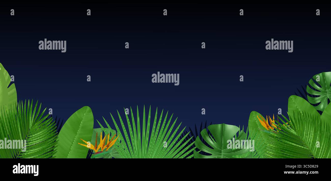 Night background with exotic tropical leaves and plants. Rainforest lush greenery. Green branches border. Realistic summer palm tree. Forest natural f Stock Vector